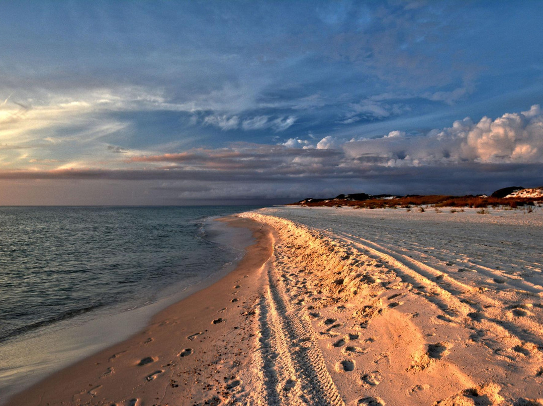 T.H. Stone Memorial St. Joseph Peninsula State Park景点图片