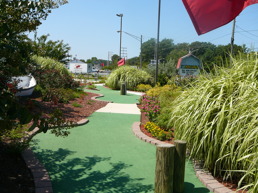 Long Neck Miniature Golf