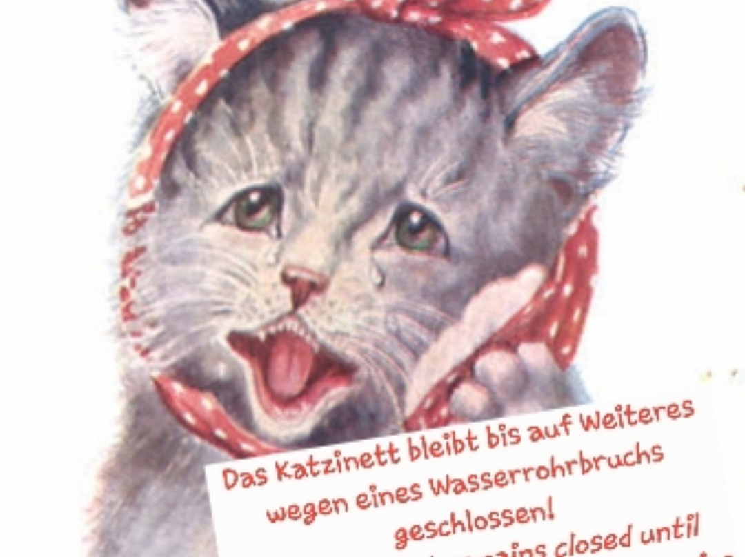 Katzinett - Katzenmuseum Ludwigshafen - Cat Museum景点图片