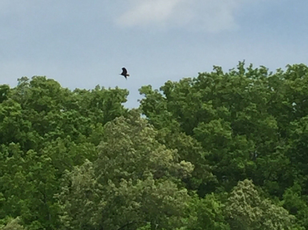 Crow's Nest Nature Preserve景点图片
