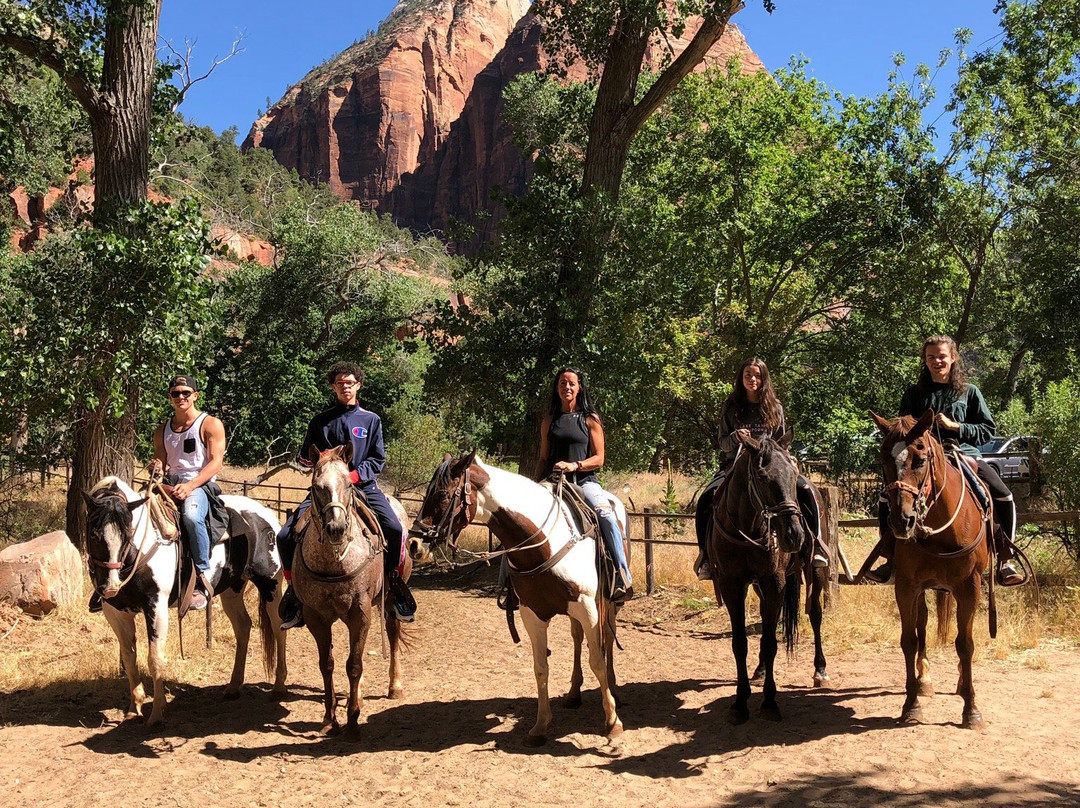 Canyon Trail Rides-锡安国家公园必去景点