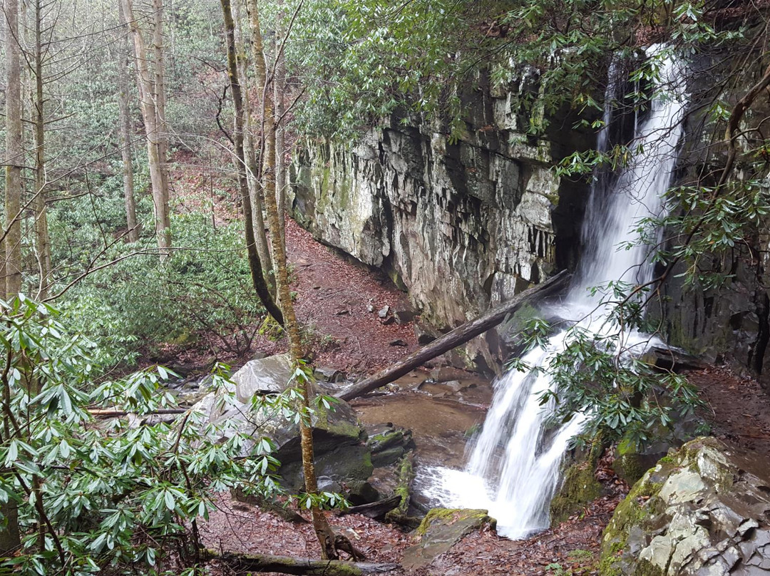 Baskins Creek Falls-大雾山国家公园必去景点