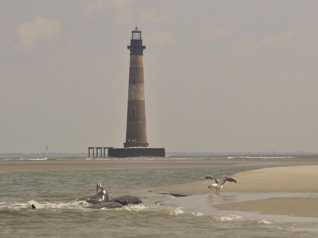 Island Hopper Boat Charters-福利比奇必去景点
