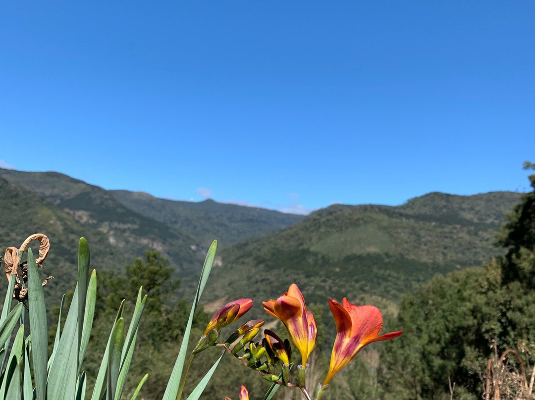 Vale dos Sonhos-Urubici必去景点