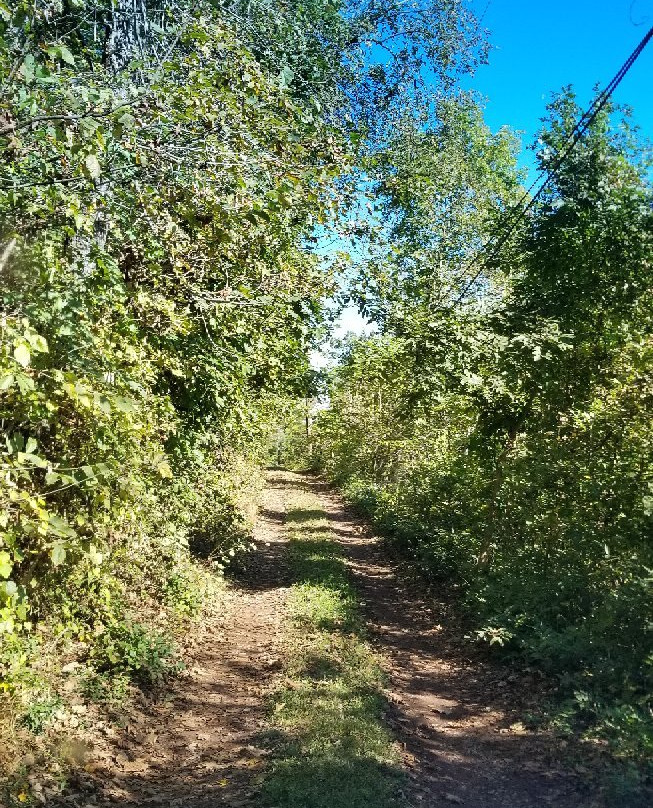 Delaware and Raritan Canal State Park-新泽西必去景点