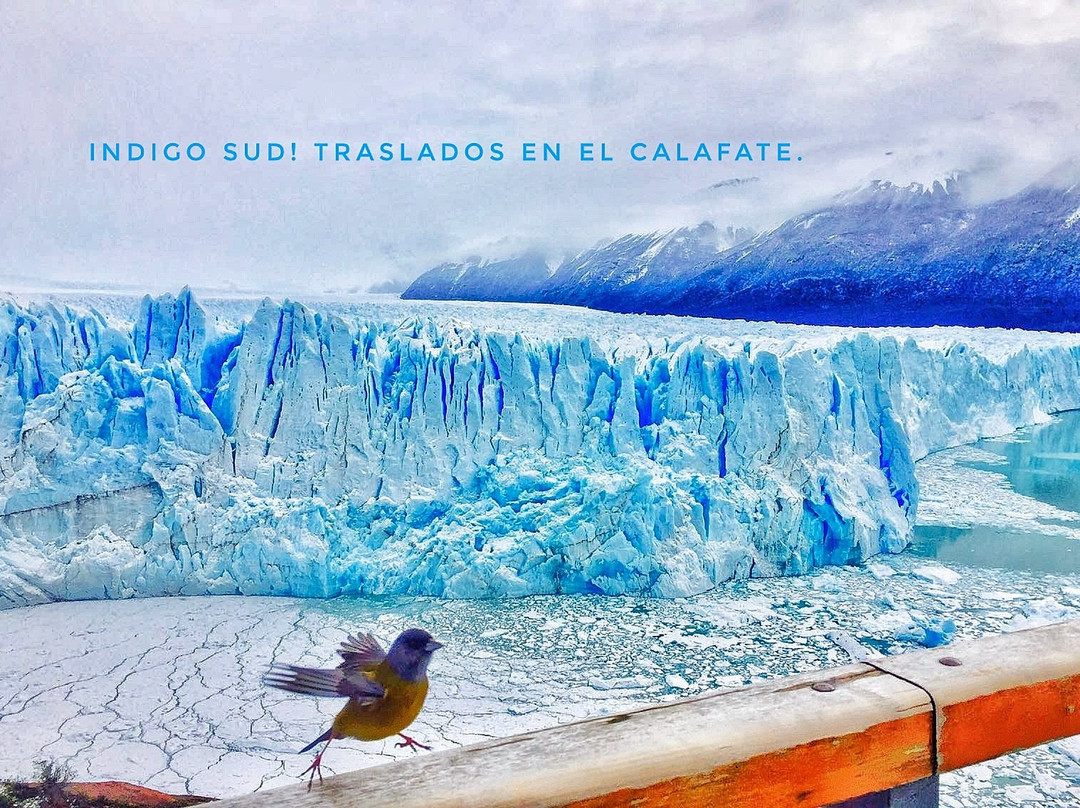 Indigo Sud Traslados privados en El Calafate景点图片