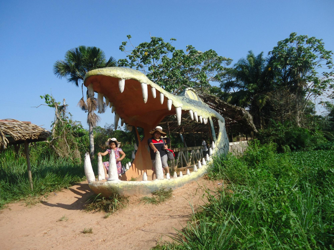 Parque Natural de Pucallpa景点图片