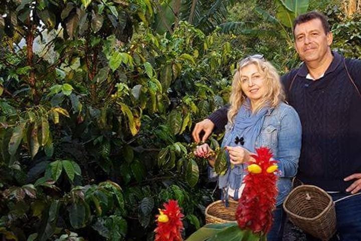 COLOMBIAN SENSES-亚美尼亚必去景点