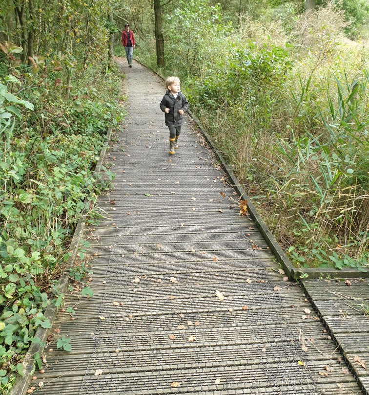 Askham Bog Nature Reserve景点图片