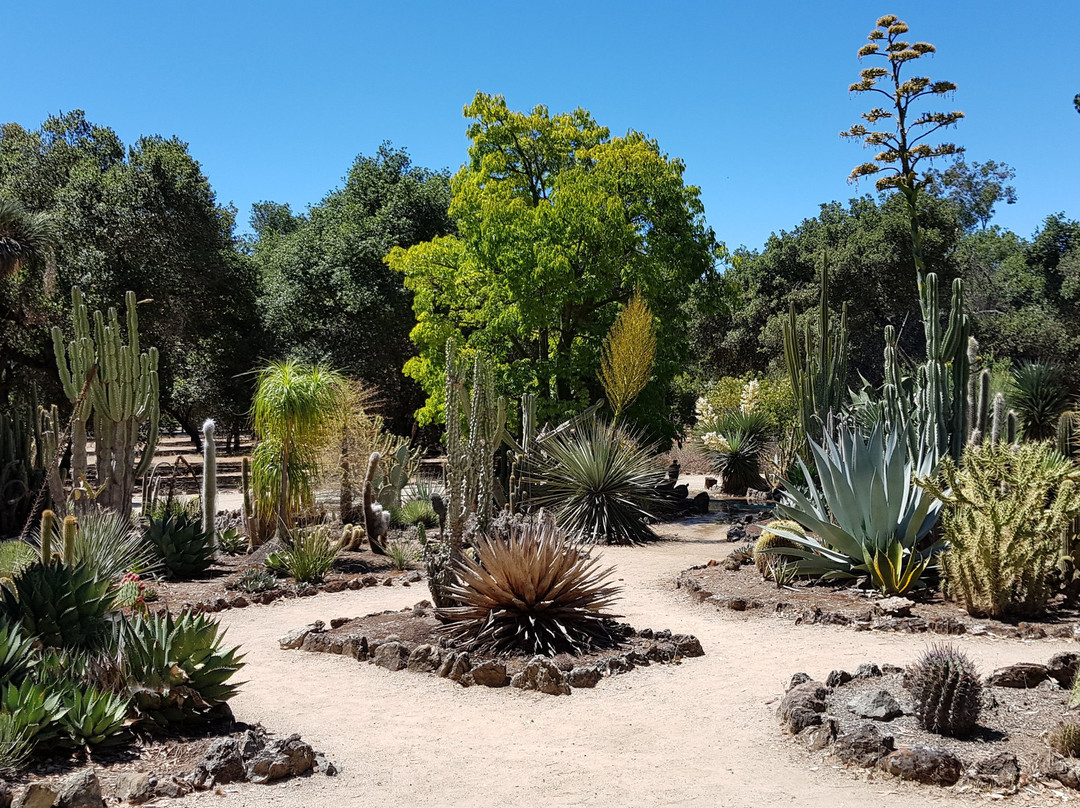 Arizona Garden-帕罗奥多必去景点