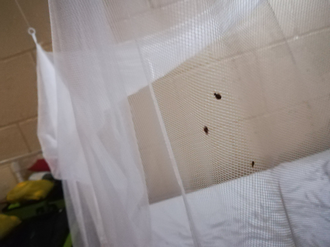 Hostal El Castillito主图