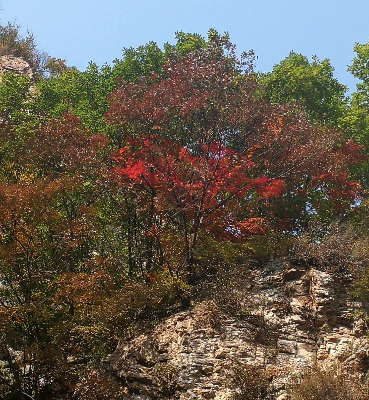 本溪大峡谷-本溪市必去景点