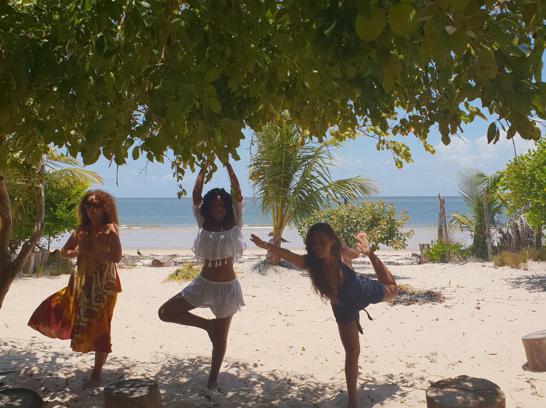 Boutique Villa Maraximbe - Marajo主图