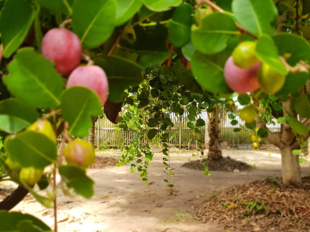 Boutique Villa Maraximbe - Marajo主图