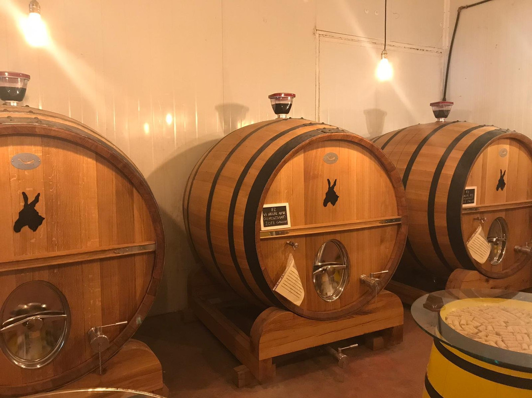 Celler Ronadelles (Cap de Ruc)-Cornudella de Montsant必去景点