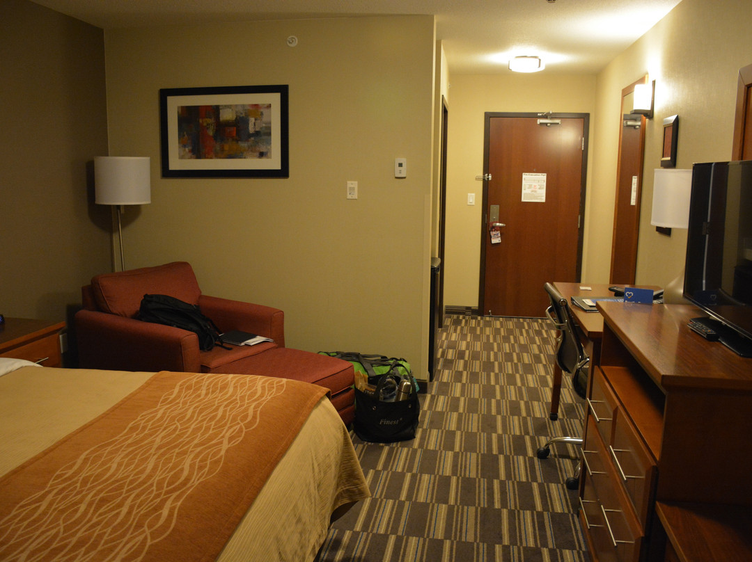 Comfort Inn & Suites Edmonton International Airport主图