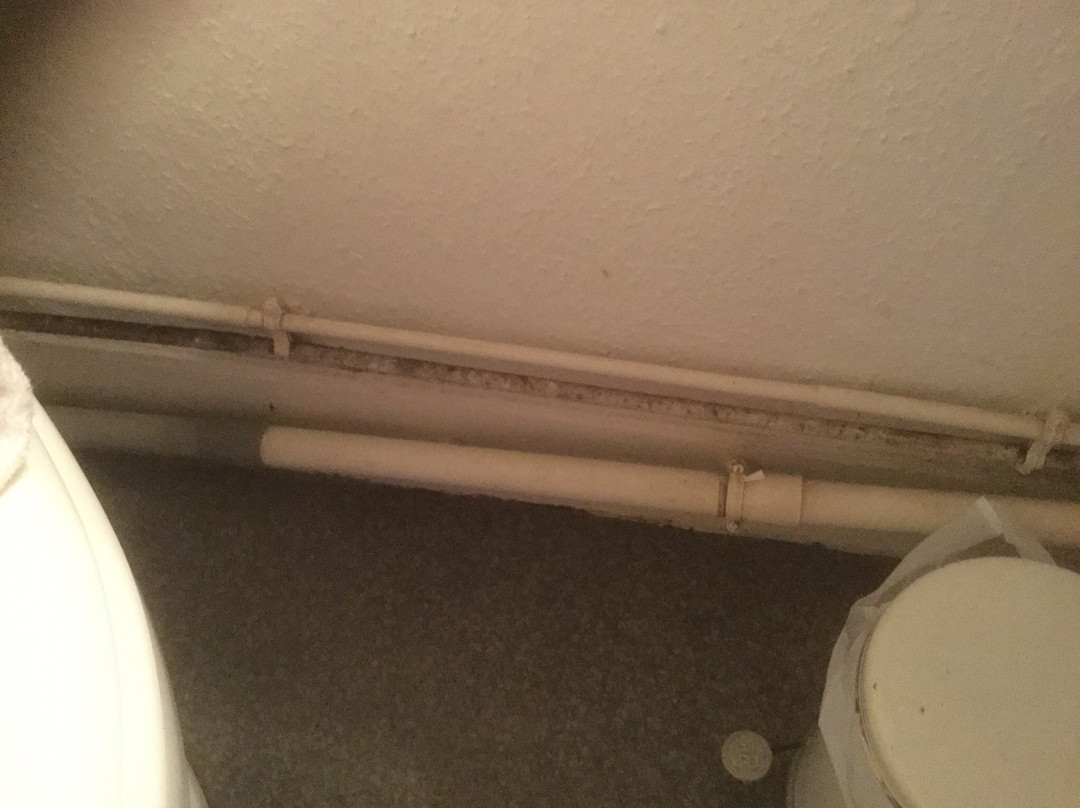 Hôtel de la Paix主图