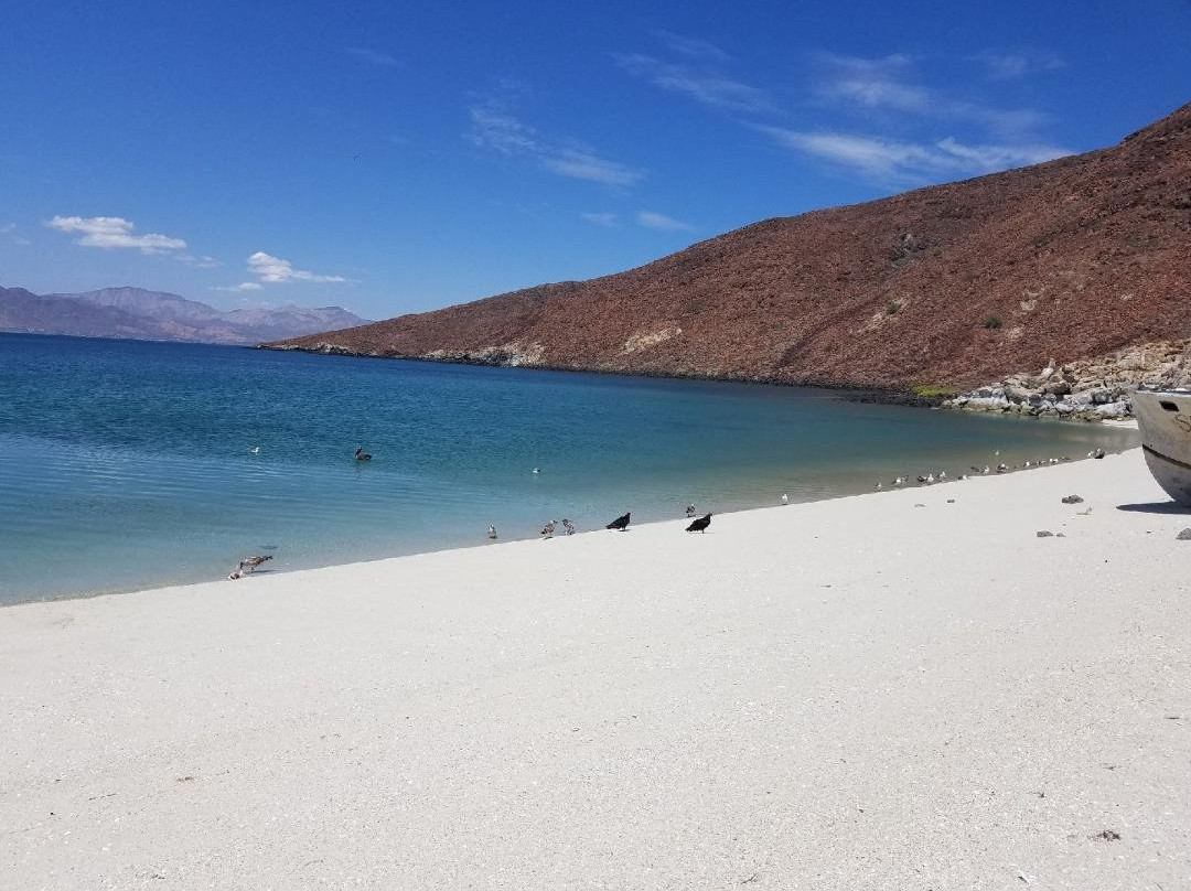 Bahia de Los Angeles景点图片