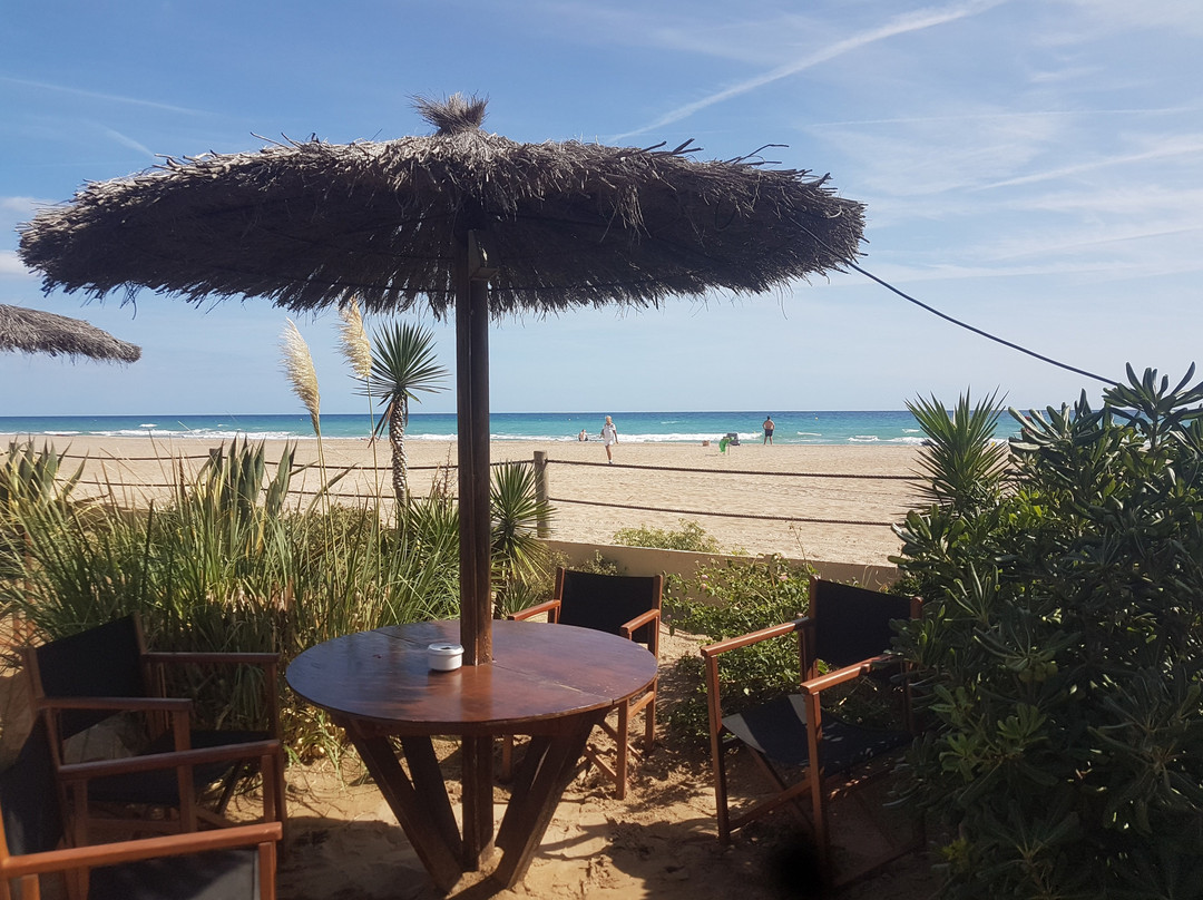 Platja de Creixell景点图片