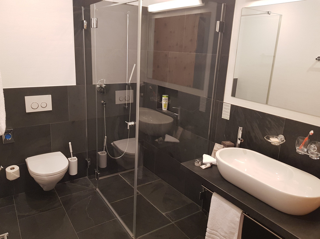 Schorta's Hotel Alvetern主图