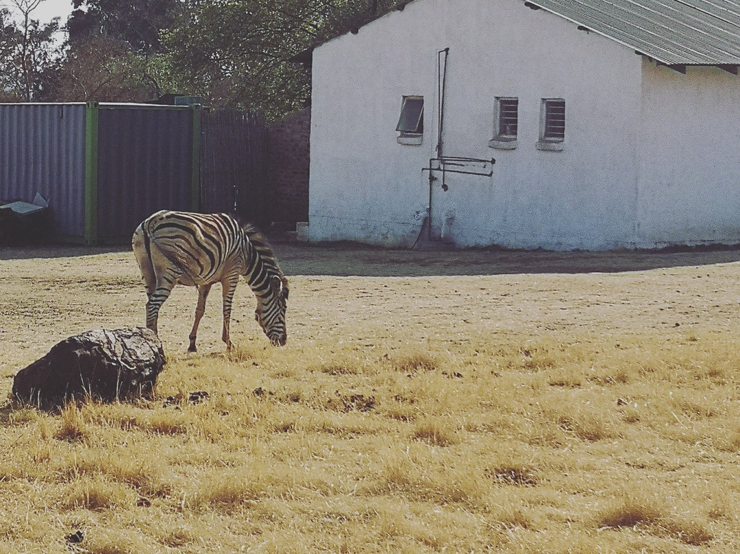Moreleta Kloof Nature Reserve-比勒陀利亚必去景点