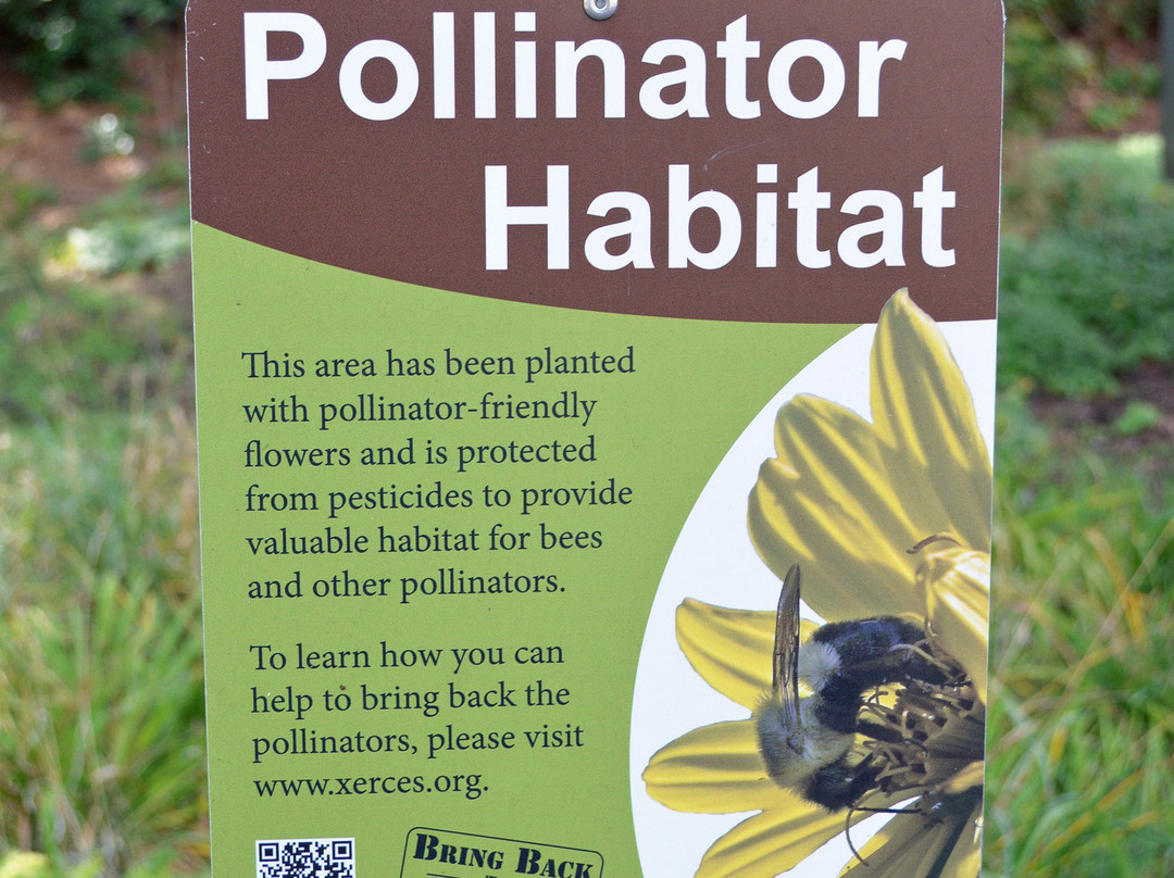 Southern Oregon University-阿什兰必去景点