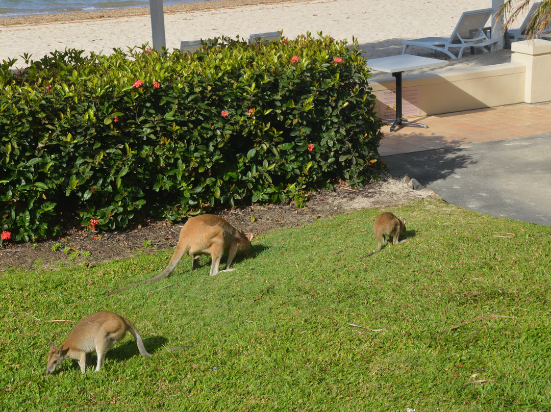 海滩俱乐部酒店主图