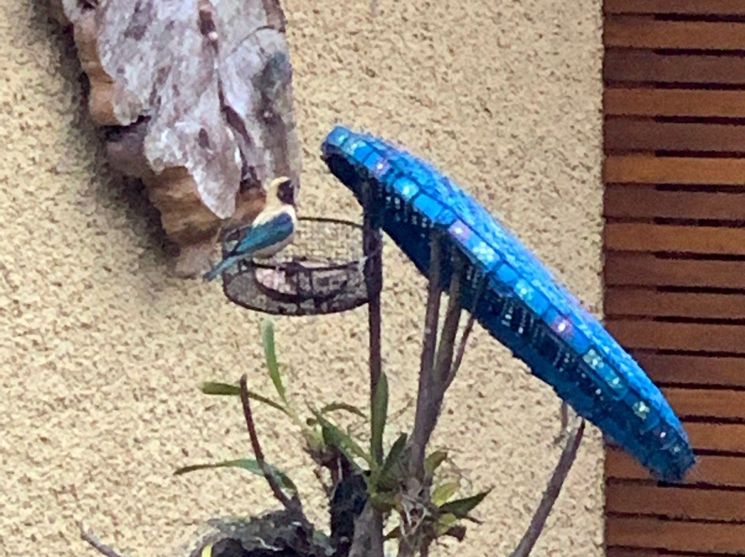 Hospedaria Vila Khepri主图