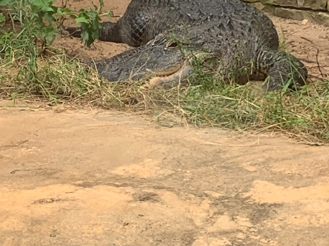 Go Fish Education Center-Perry必去景点