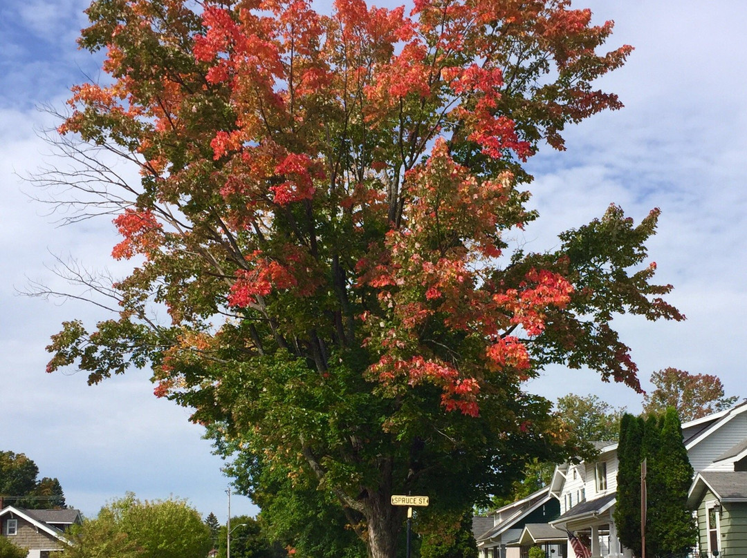 Piers Gorge-Norway必去景点