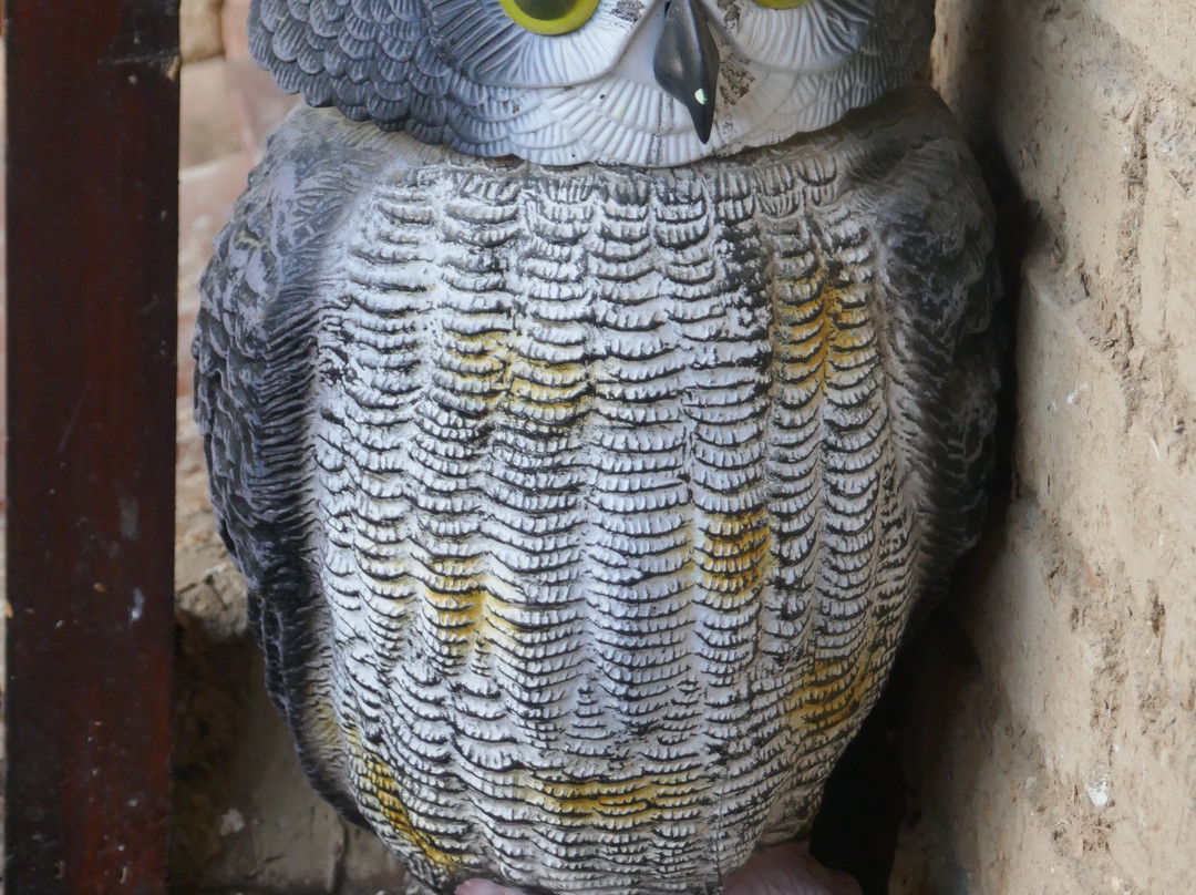 The Mill Hotel主图