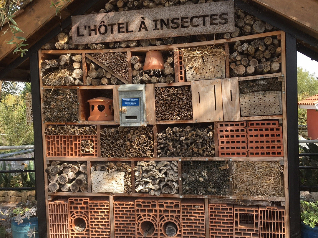 Le Refuge des Tortues-Bessieres必去景点