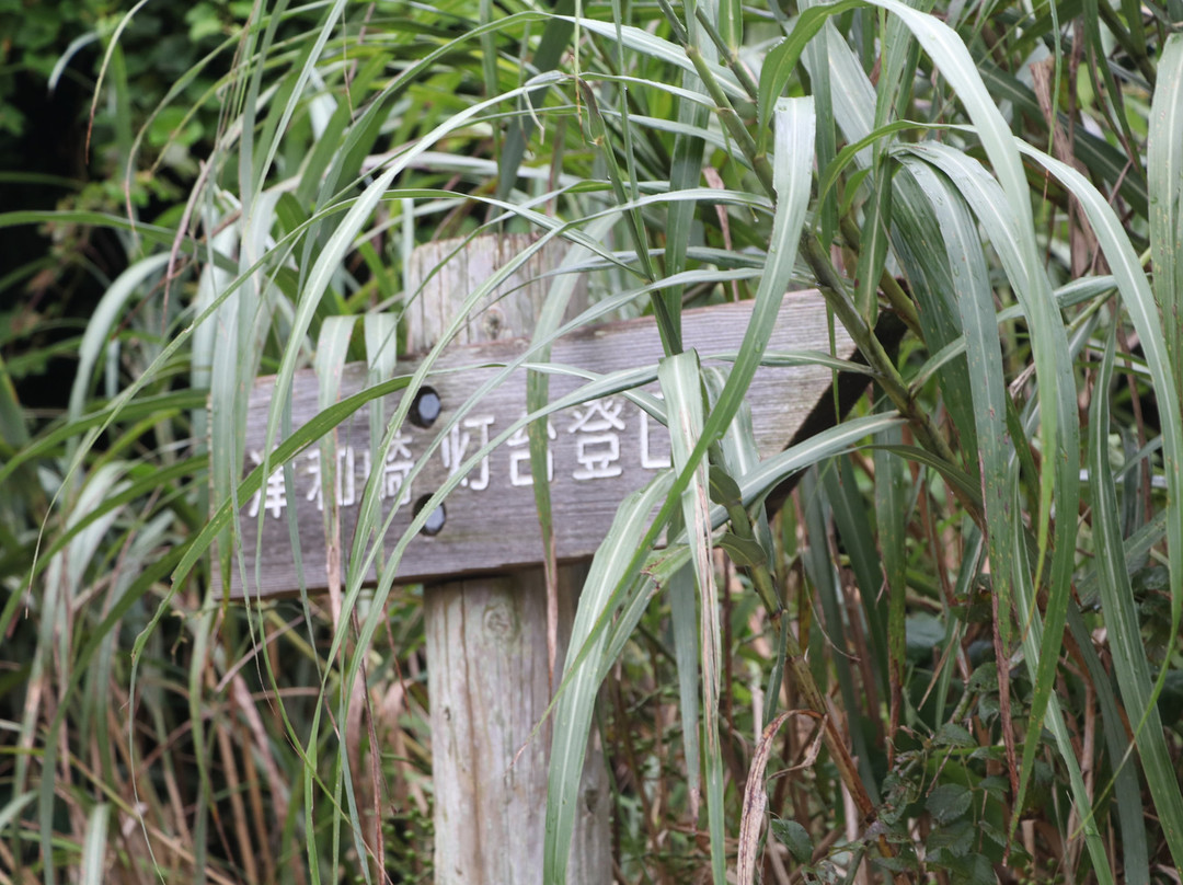 Tsuwasaki Lighthouse景点图片