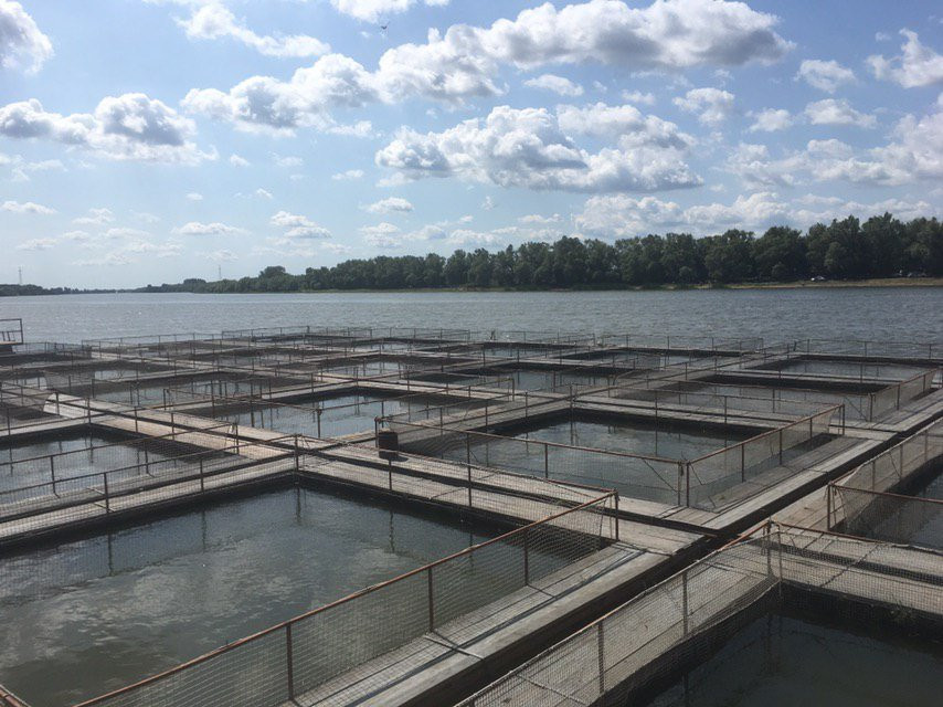 Sturgeon Farm Astrakhanskaya Fishka-Verkhnekalinovskiy必去景点