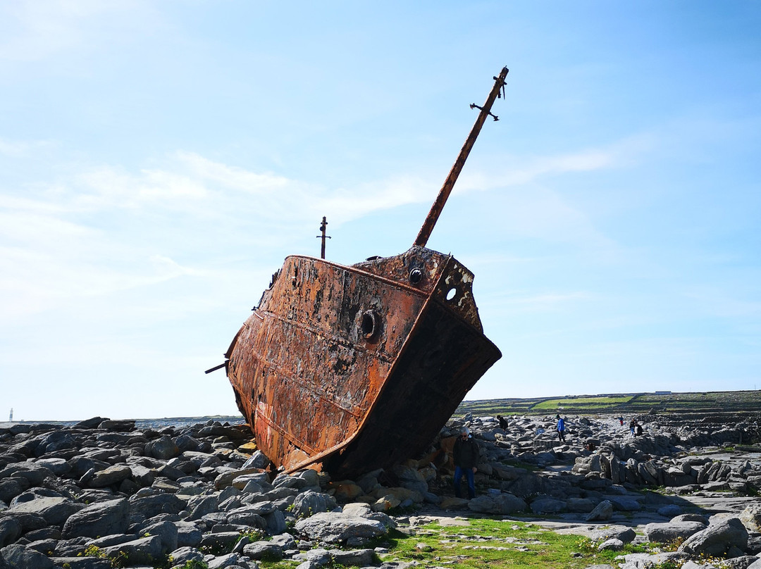 Plassey Wreck景点图片