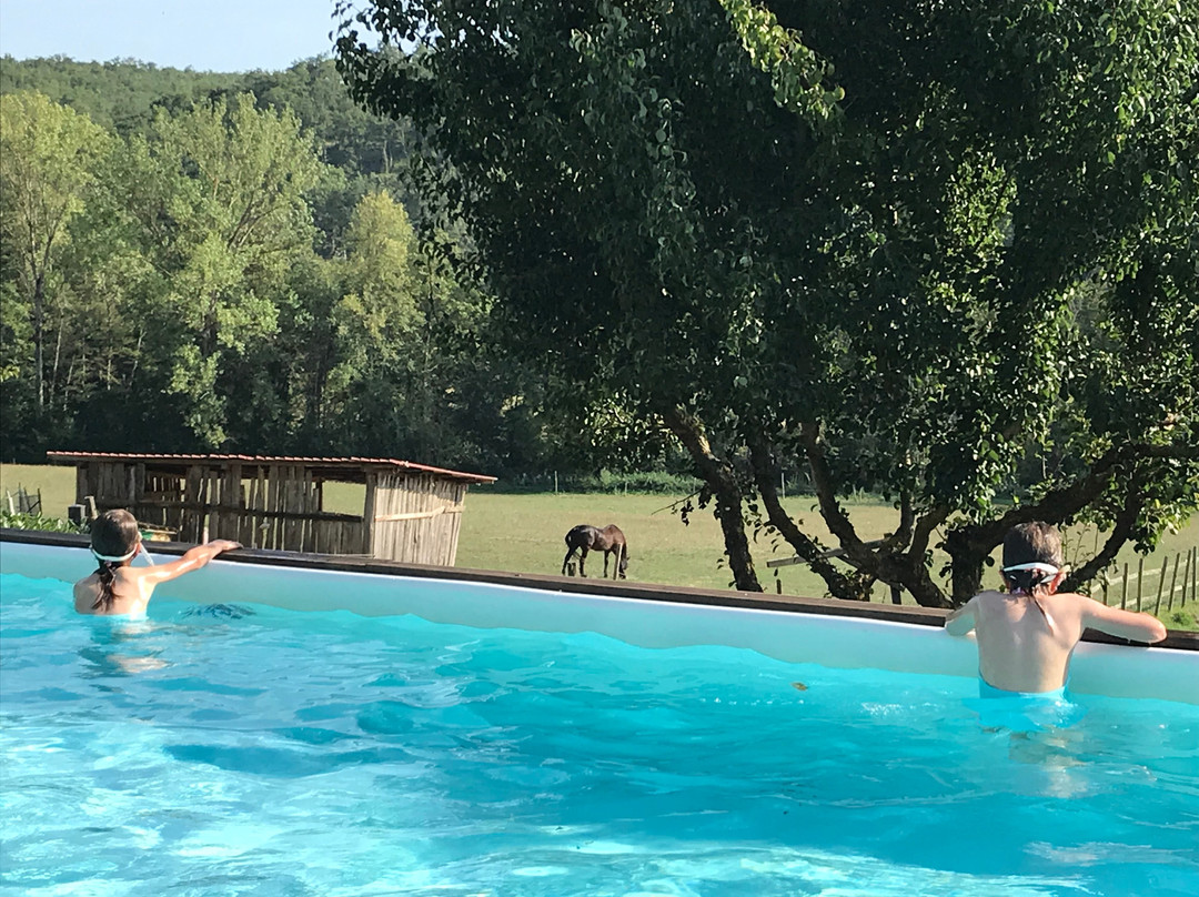 Agriturismo Centro Ippico della Berardenga主图