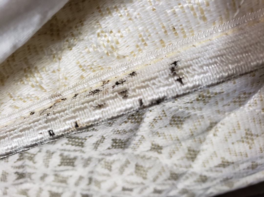 Comfort Suites主图