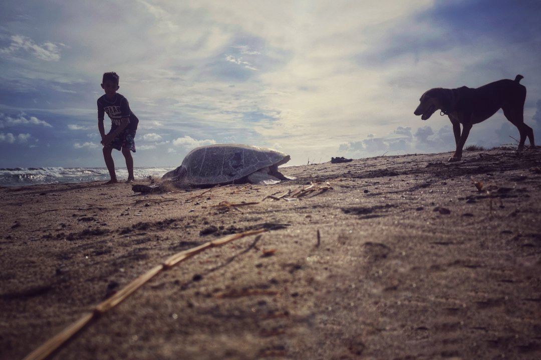 Casa Viva Troncones主图