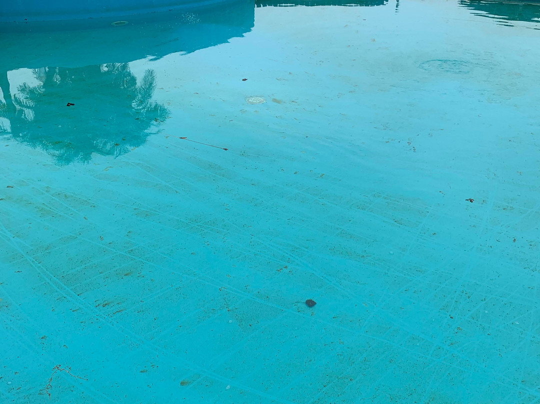 Sheraton Colonia Golf & Spa Resort主图