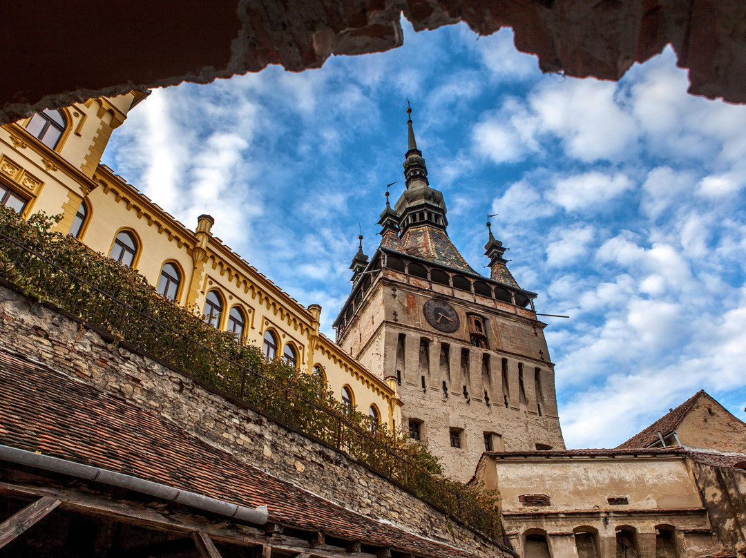 CAO tours & events-克卢日-纳波卡必去景点