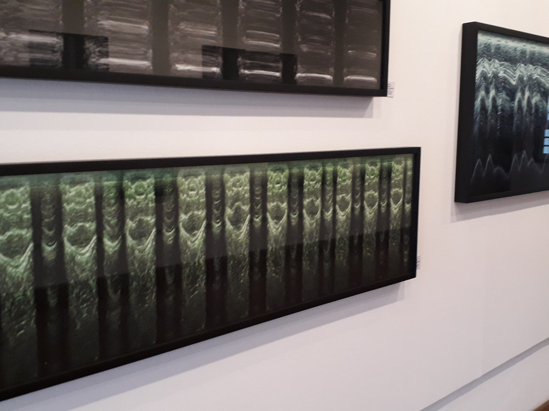 Centro Cultural Yves Alves-蒂拉登特斯必去景点