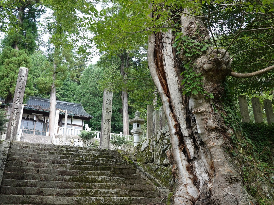 Chihayahiko Shrine-三次市必去景点