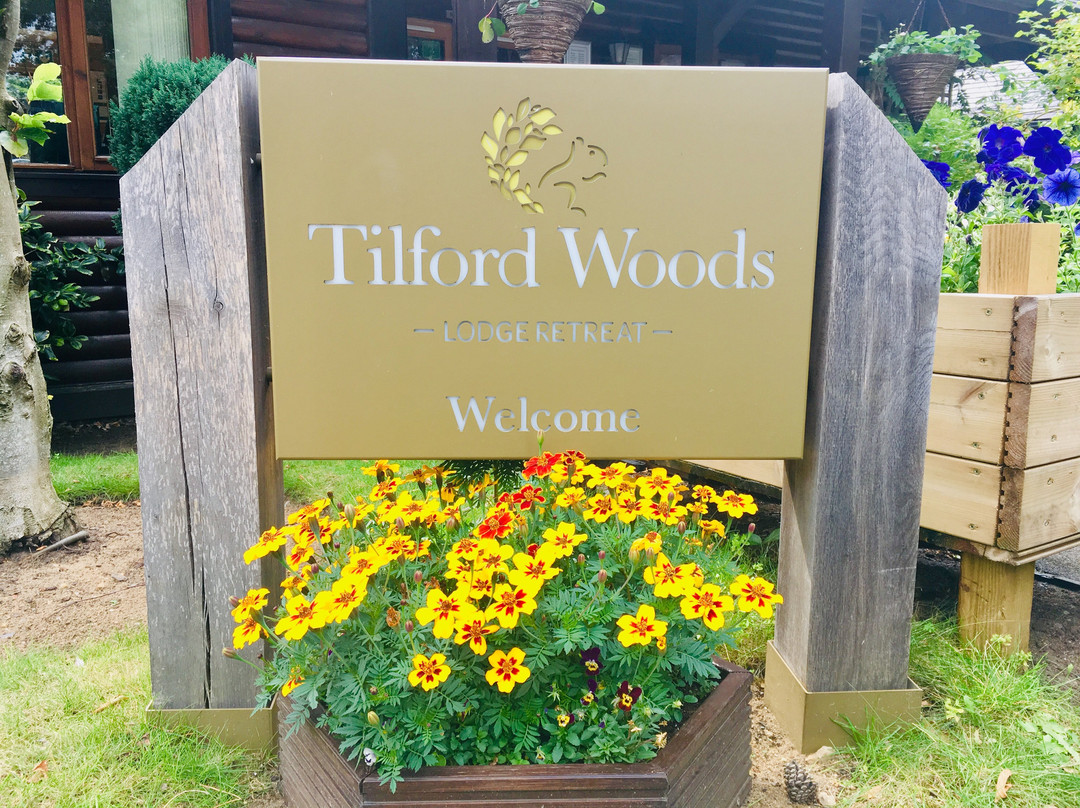 Tilford Woods Lodge Retreat