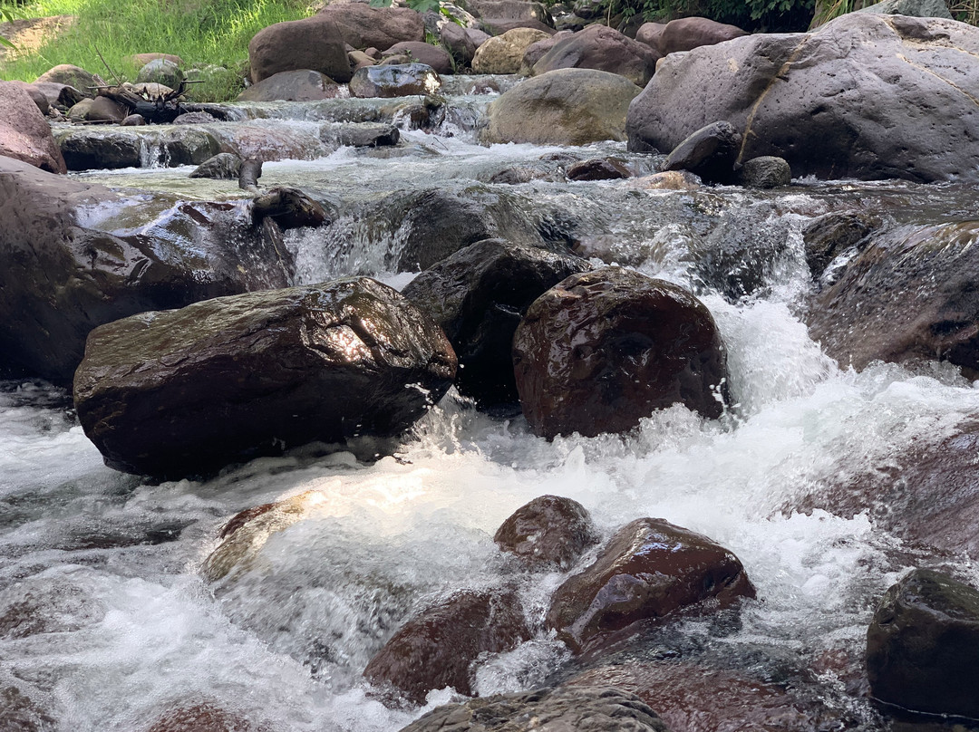 Finca Hostal La Danta主图