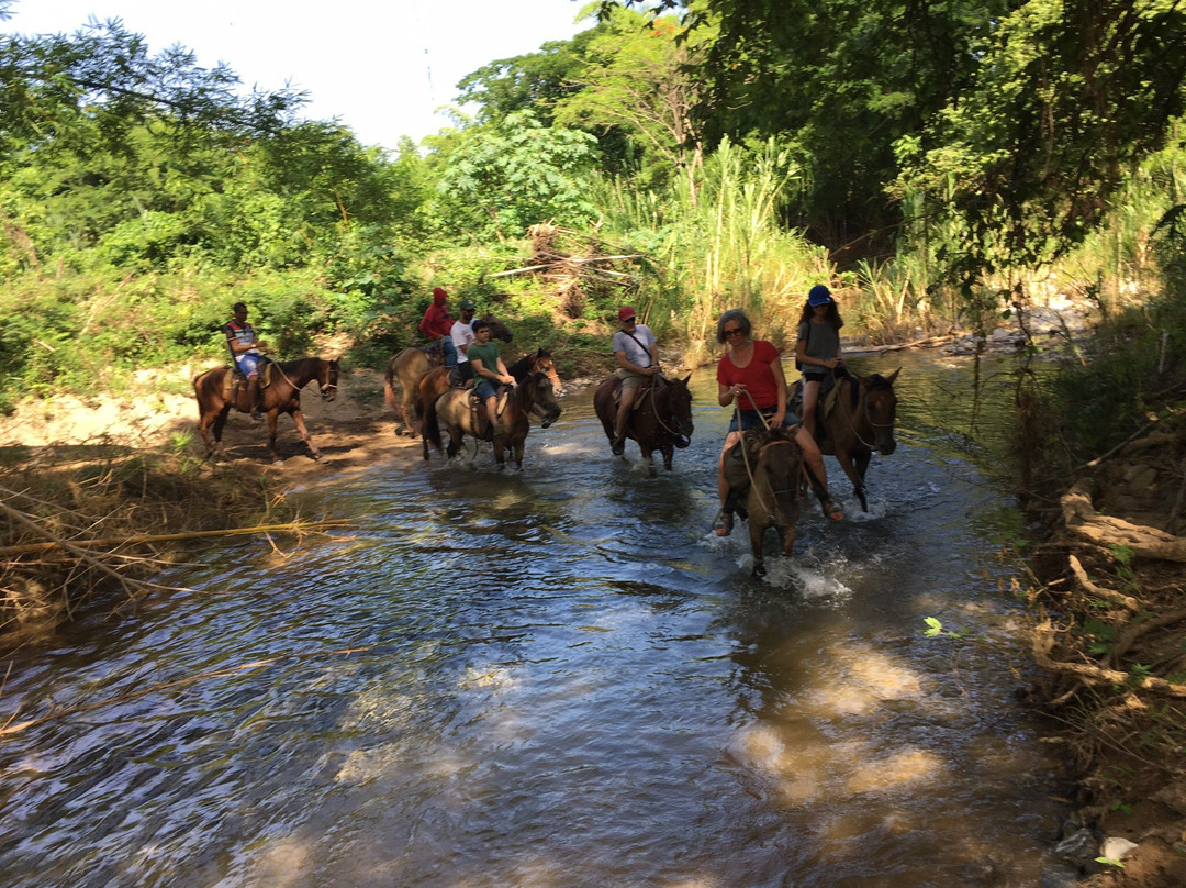 Salto del Caburní景点图片