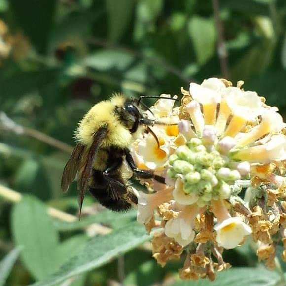 Rockport Beach-罗克波特必去景点
