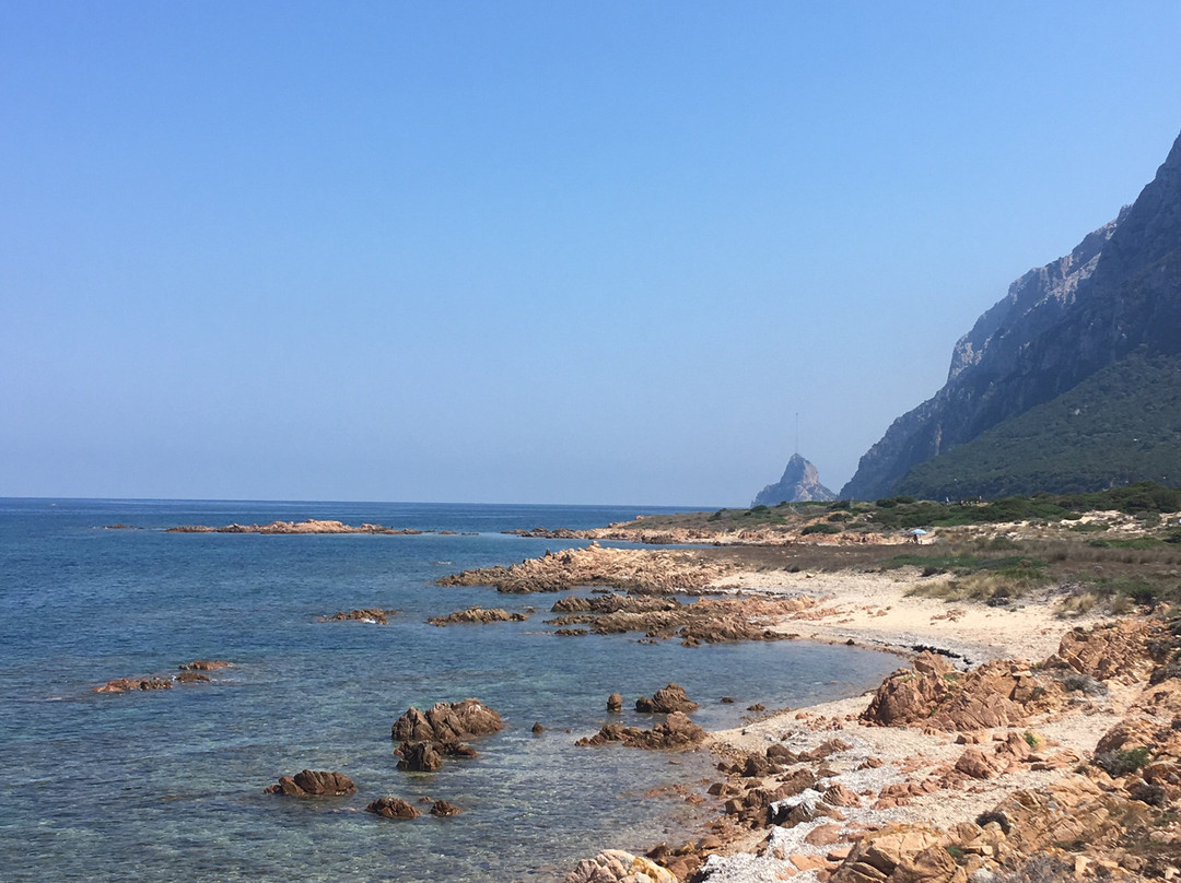 L'Area Naturale Marina Protetta Tavolara - Punta Coda Cavallo-奥尔比亚必去景点