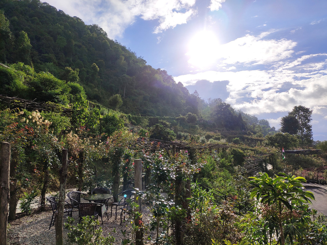 Rose Garden, Solophok-Namchi必去景点