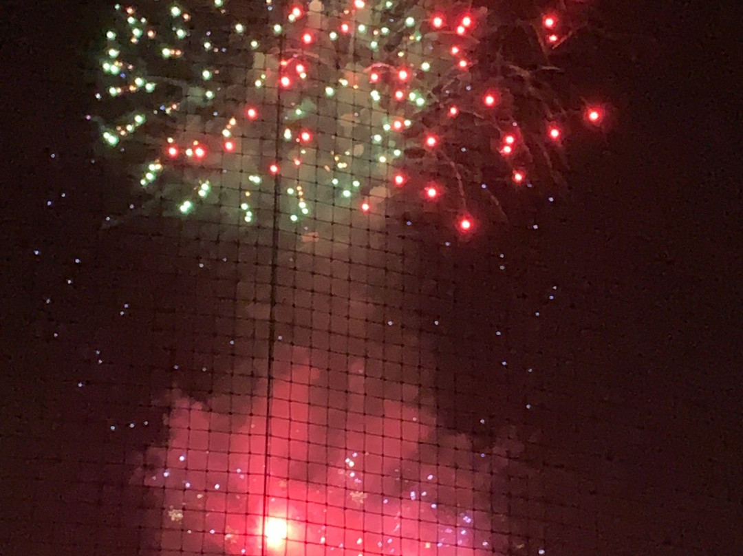 Parkview Field-韦恩堡必去景点