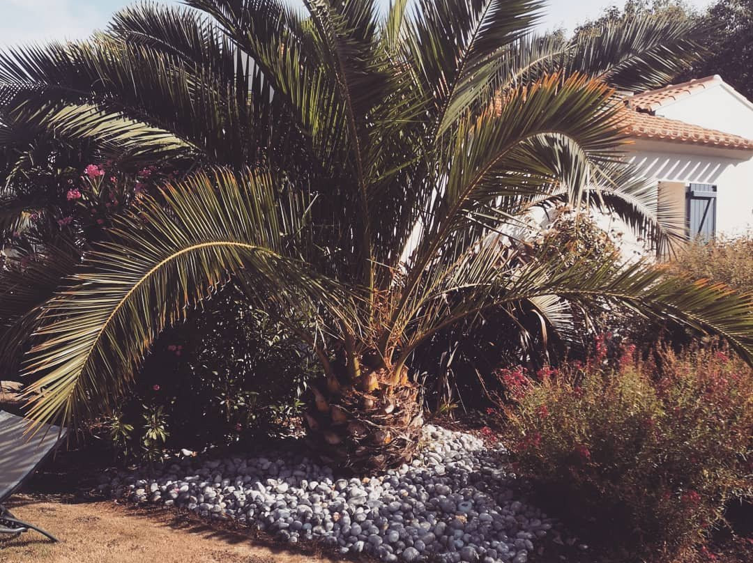 Les Mandalas Chambres d'Hotes主图